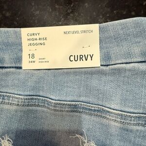 American Eagle Outfitters Curvy High-Rise Jegging in Light Blue